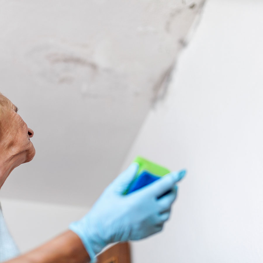 Nettoyage de moisissures au plafond d'une maison sur Pessac